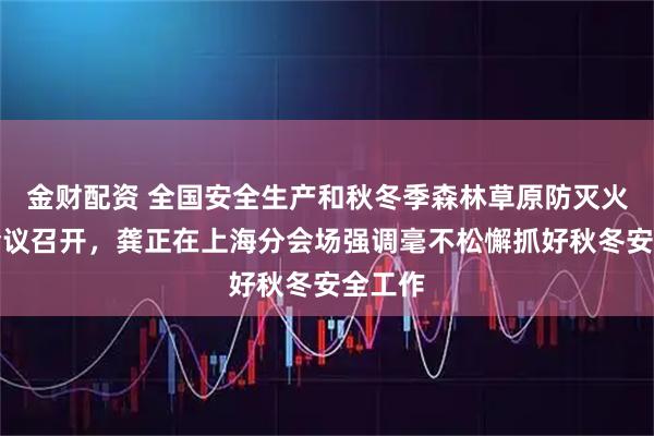 金财配资 全国安全生产和秋冬季森林草原防灭火视频会议召开，龚正在上海分会场强调毫不松懈抓好秋冬安全工作